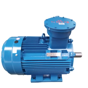 Ho phatloha ha Squirrel Cage Bopaki ba AC Motor Induction: Ke Eng e Etsang Hore e be Khetho e Ntle bakeng sa Tikoloho e Kotsi