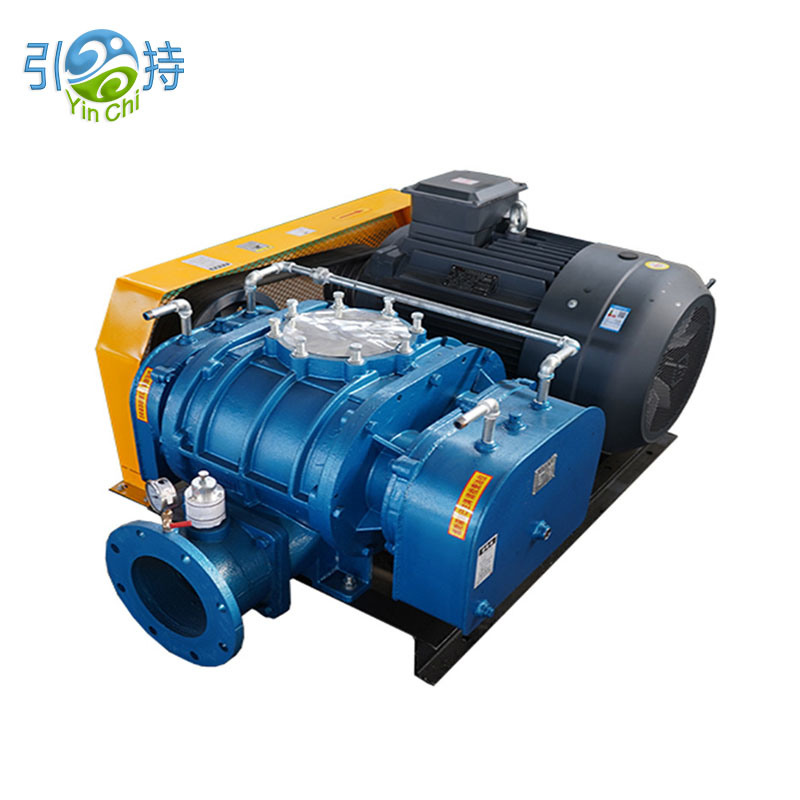 China Tri Lobe blower